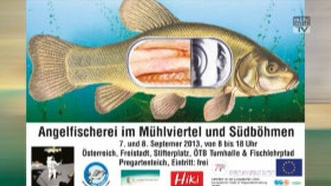 Ankündigung Angelfischerei im Mühlviertel und Südböhmen