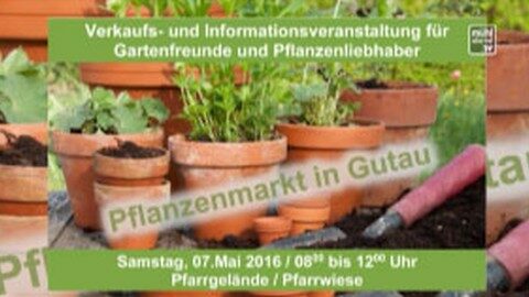 Ankündigung Pflanzenmarkt in Gutau