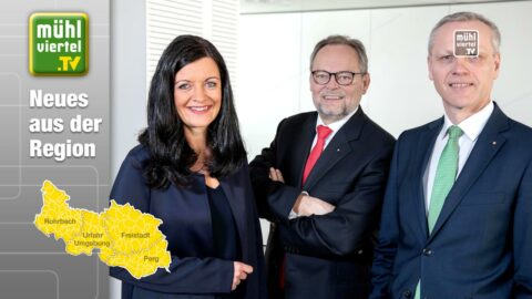 Kathrin Kühtreiber-Leitner neu im Vorstand der OÖ Versicherung