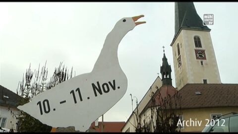 Rückblick 2012: Martinikirtag in Zwettl an der Rodl
