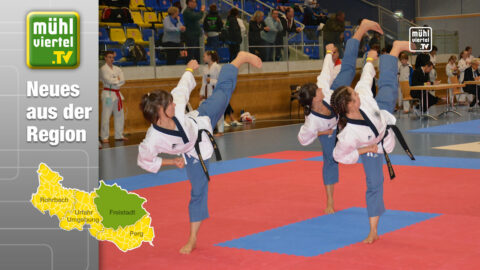 Mühlviertler Taekwondo Vereine dominierten Staatsmeisterschaften