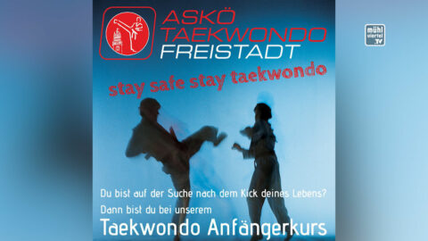 Start Anfängerkurs Taekwondo Freistadt am 22.3.2022 um 18:30