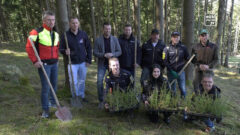 Mit der Region verwurzelt – Rallyeclub Mühlviertel pflanzt Bäume