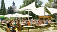 Schlossfest in Hagenberg 2023