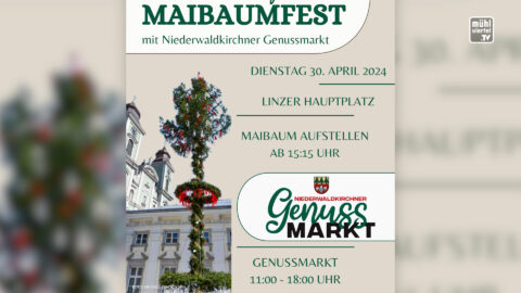 Maibaumaufstellen in Linz mit Niederwaldkirchner Genussmarkt am 30.4.2024