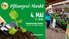 Pflanzerlmarkt bei Kompostanlage Huemer in Alberndorf am 4.5.2024