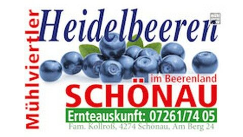 Heidelbeeren aus Schönau im Mühlkreis – Fam. Kollroß