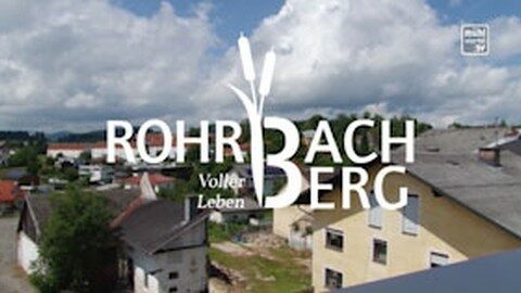 Porträt über Rohrbach-Berg