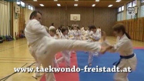 Ankündigung Taekwondo Anfängerkurs in Freistadt