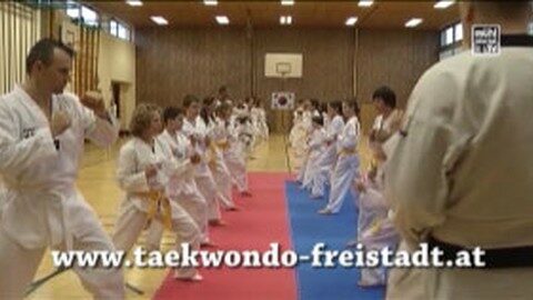 Ankündigung Taekwondo Anfängerkurs in Freistadt